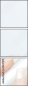 49347919