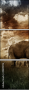 49899712