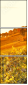 50713543