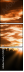 51576811