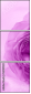 52109021