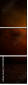 52289605