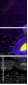 53724504