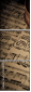 53848073