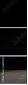 56107834