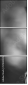 57830545