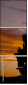 58154901