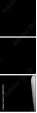 58845355