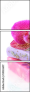59033697
