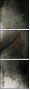 59576082