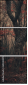 60442499