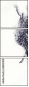 60831429