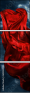 64282038