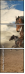 64762247
