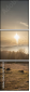 67141324