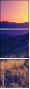 67236047