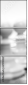 67908547