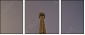 10023302