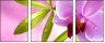 20055851
