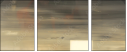 21155951