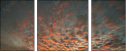 32897630
