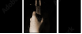 4763355