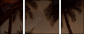 4823952