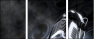 55593987