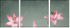 61954635