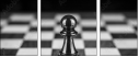 70258713