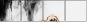 110688808