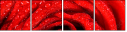 112923652