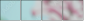 12612957