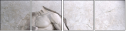 129360439