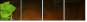 13276134