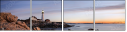 16967921