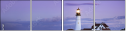16967961