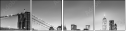 193744506