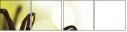 20383309