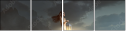 206812569