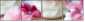 21447676
