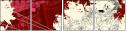 23706243