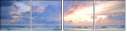 24470926