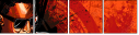 26840532