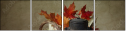 26891183