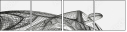27014527