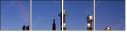 27025909