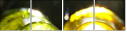 28072975