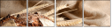 28431583