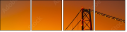 293004009